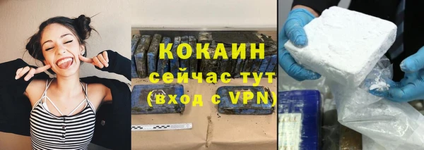 индика Абаза