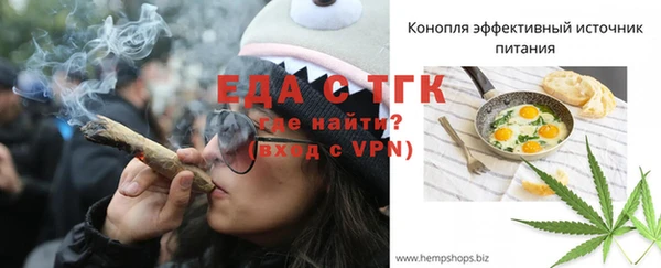 индика Абаза
