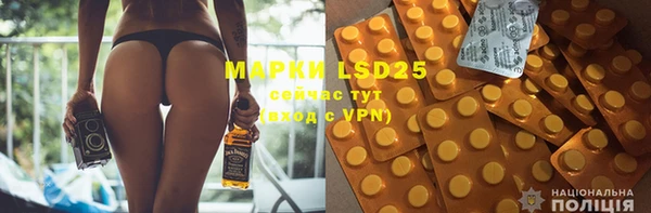 индика Абаза