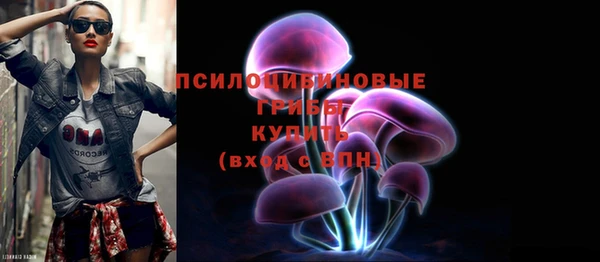 индика Абаза