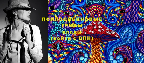 индика Абаза