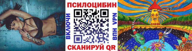 OMG сайт Эртиль Псилоцибиновые грибы ЛСД